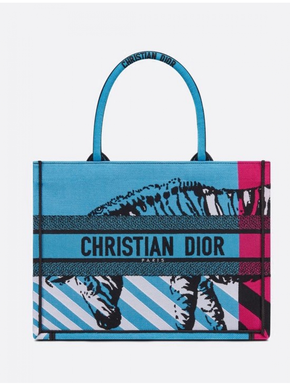 Сумка Christian Dior